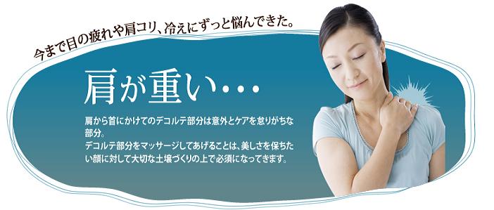 �W���W�����t�g�@�ʔ�