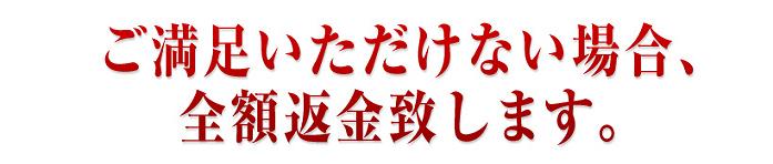 �W���W�����t�g�@�ʔ�